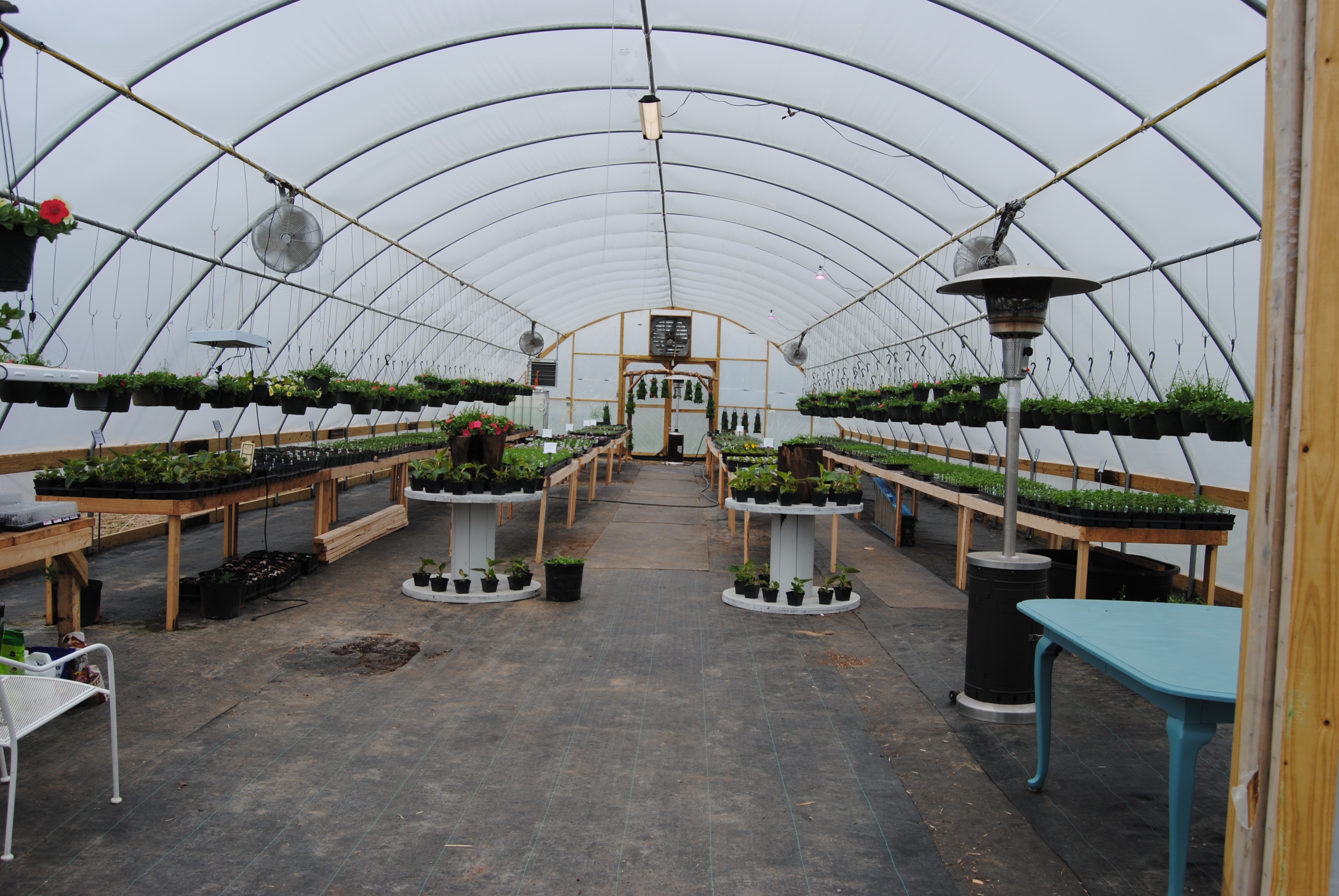 Greenhouse Old Maple Farms